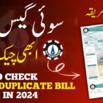 How to Check Gas Bill Online 2024: Your Comprehensive Guide