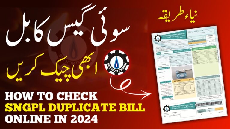How to Check Gas Bill Online 2024: Your Comprehensive Guide